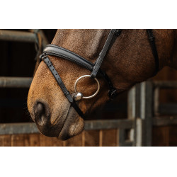 Bridon Norton Pro Dark Noir