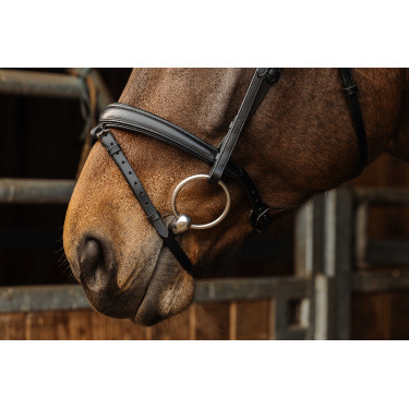 Bridon Norton Pro Dark Noir