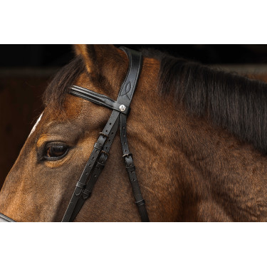 Bridon Norton Pro Dark Noir