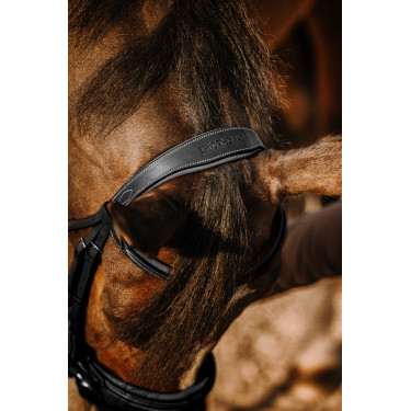 Bridon Eric Thomas Work Noir