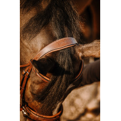 Bridon Eric Thomas Werk Havana Bruin