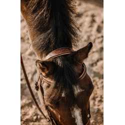 Bridon Eric Thomas Werk Havana Bruin