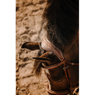 Bridon Eric Thomas Crown Havana Bruin