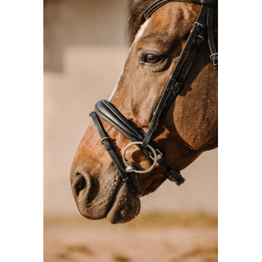 Bridon Eric Thomas Bat Zwart