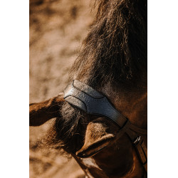 Bridon Eric Thomas Bat Zwart