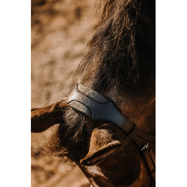 Bridon Eric Thomas Bat Zwart