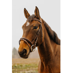 Bridon Norton Club Strass V Havane Marron