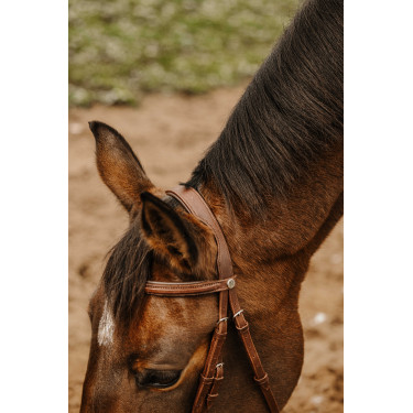 Bridon Norton Club Square Havane Marron