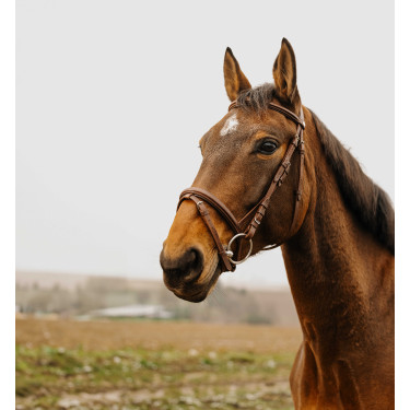 Bridon Norton Club Square Havane Marron