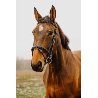 Bridon Norton Club Easy Noir Bridon Norton Club Easy Noir