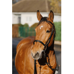 Bridon Norton Training Zwart