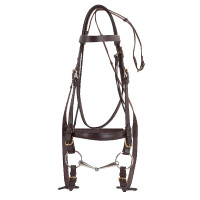 Bridon Excelsior Cheval de Trait Havane Marron