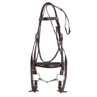 Bridon Excelsior Trekpaard Havana Bruin