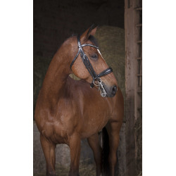 Bride Norton Pro Zwart