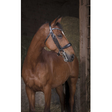 Bride Norton Pro Zwart