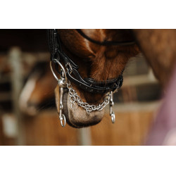 Bride Norton Basal Noir