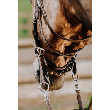 Bridon Bitloos Norton Havana Bruin