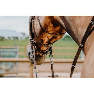 Bridon Bitloos Norton Havana Bruin