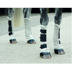 Vliegwerende peesbeschermers Fly turnout Shires Vliegwerende peesbeschermers Fly turnout Shires