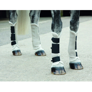 Vliegwerende peesbeschermers Fly turnout Shires Vliegwerende peesbeschermers Fly turnout Shires