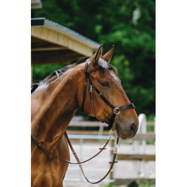 Bridon Bitloos Norton Zwart