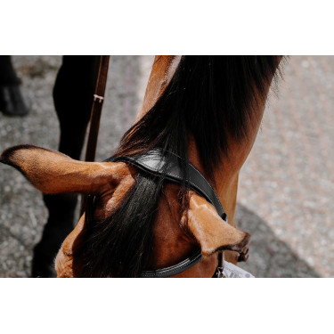 Bridon Bitloos Norton Zwart