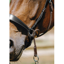 Bridon Bitloos Norton Zwart