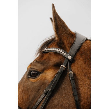 Bridon Norton Club Diva Zwart