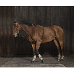 Enrênement Norton extenseur doux Marine / noir Bleu Enrênement Norton extenseur doux Marine / noir Bleu