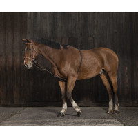 Norton zachte hulpteugel voor extensie Zwart