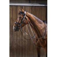 Chambon Eric Thomas Pro Zwart