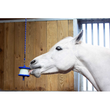 Steun voor Likit zoutsteen 650 g Blauw Steun voor Likit zoutsteen 650 g Blauw