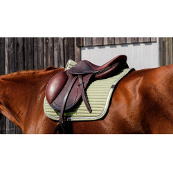 Tapis de selle Equithème Spring Vert clair