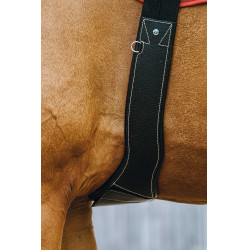 Sangle anatomique Magnet Norton Noir