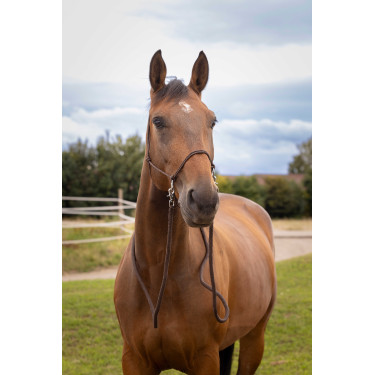 Licol Ethologique avec Renes Marron