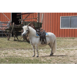 Navajo gewatteerd zadeldek Turkoois Blauw