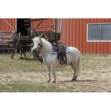 Tapis navajo matelassé Turquoise Bleu