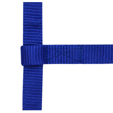 Licol réglable mini Bleu roi Licol réglable mini Bleu roi