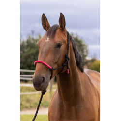 ETHOLOGISCHE HALSTER + FUN COLOUR LIJN Neonfuchsia Roze