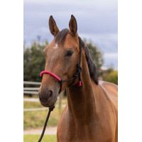 LICOL ETHOLOGIQUE + LONGE FUN COLOUR Fuchsia néon Rose