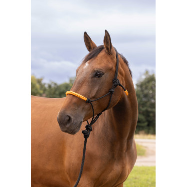 ETHOLOGISCHE HALSTER + FUN COLOUR LIJN Neon oranje ETHOLOGISCHE HALSTER + FUN COLOUR LIJN Neon oranje