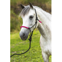 ETHOLOGISCHE HALSTER + FUN COLOUR LIJN Neonfuchsia Roze