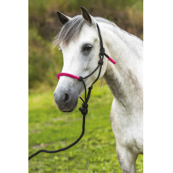 LICOL ETHOLOGIQUE + LONGE FUN COLOUR Vert néon LICOL ETHOLOGIQUE + LONGE FUN COLOUR Vert néon