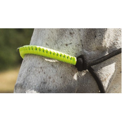 ETHOLOGISCHE HALSTER + FUN COLOUR LIJN Neon groen