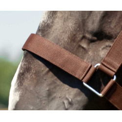 Licol Norton Cheval de Trait Marron