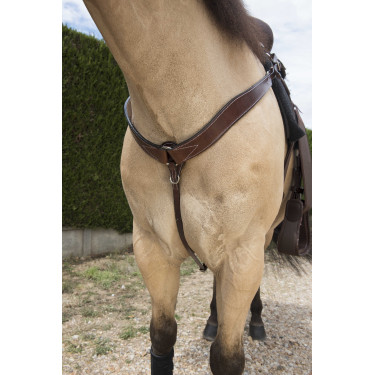Collier de chasse western Randol's surpiqué Havane Marron
