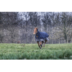 Couverture Equithème Tyrex 600D Combo 350g