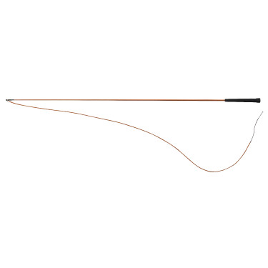 Massieve polyamide longeerzweep WHIP & GO Bruin