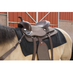 Tapis Westride Navajo coton/acrylique uni Noir