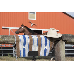 Navajo-katoenen geweven lederen tapijt